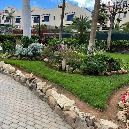 El Bohemia Daire Palm-mar